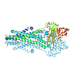 BU of 9csi by Molmil