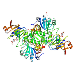 BU of 9ctd by Molmil