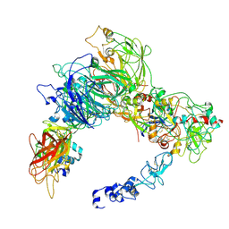 BU of 9cth by Molmil