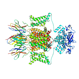 BU of 9cty by Molmil