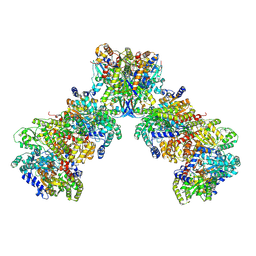 BU of 9cu2 by Molmil