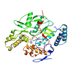 BU of 9cvp by Molmil
