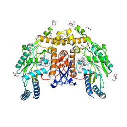 BU of 9cwi by Molmil