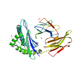 BU of 9cwy by Molmil
