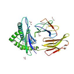 BU of 9cwz by Molmil