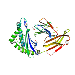BU of 9cx0 by Molmil