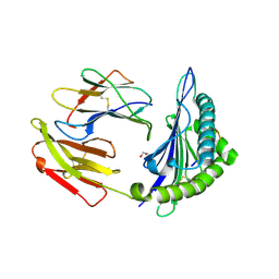 BU of 9cx1 by Molmil