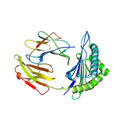 BU of 9cx2 by Molmil