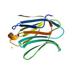 AU of 9d64 by Molmil