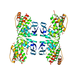 BU of 9dbi by Molmil