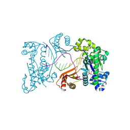 BU of 9ddr by Molmil