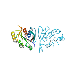 BU of 9dds by Molmil