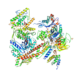 AU of 9dlx by Molmil