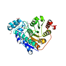 BU of 9dm6 by Molmil