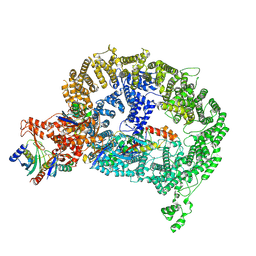 BU of 9dns by Molmil