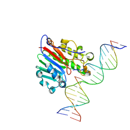 BU of 9dp3 by Molmil