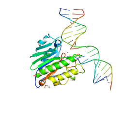 BU of 9dp4 by Molmil