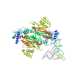 BU of 9dpb by Molmil
