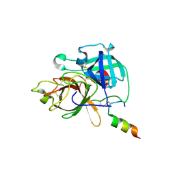 BU of 9dpf by Molmil
