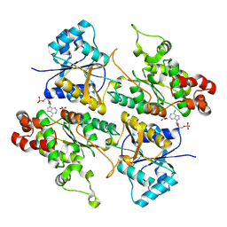 BU of 9dqm by Molmil