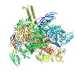 BU of 9dr1 by Molmil