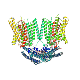 BU of 9dvm by Molmil