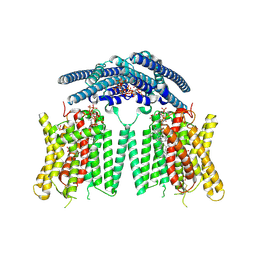BU of 9dvp by Molmil