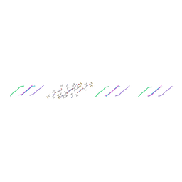 BU of 9dyy by Molmil