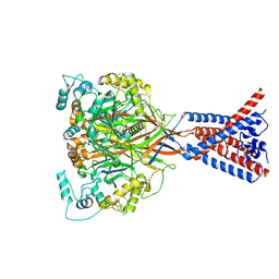 BU of 9e4a by Molmil
