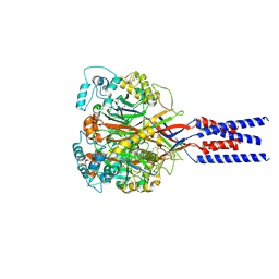 BU of 9e4c by Molmil