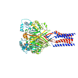 BU of 9e4d by Molmil