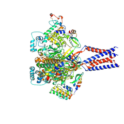 BU of 9e4j by Molmil