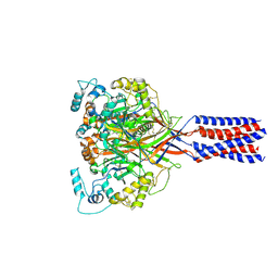 BU of 9e4k by Molmil
