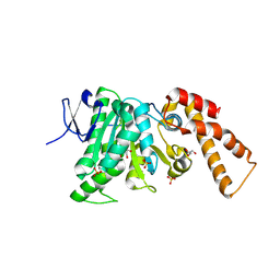 BU of 9e58 by Molmil