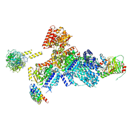 BU of 9edr by Molmil