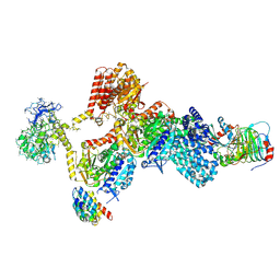 BU of 9eds by Molmil