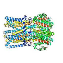 BU of 9egt by Molmil