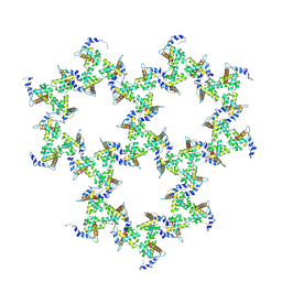 BU of 9ek2 by Molmil
