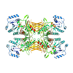 BU of 9emn by Molmil