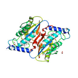 BU of 9emu by Molmil