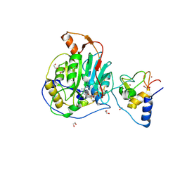 BU of 9emv by Molmil