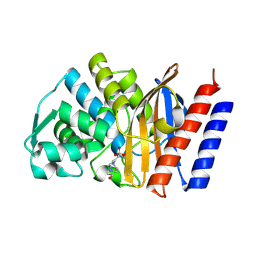 BU of 9env by Molmil