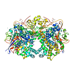 BU of 9erc by Molmil