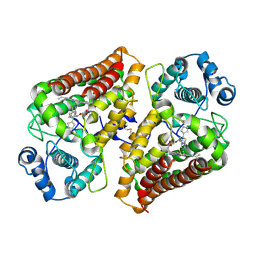 BU of 9esc by Molmil