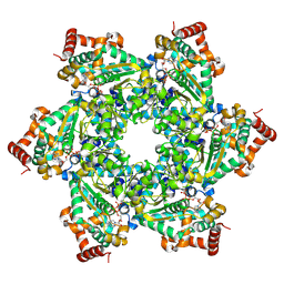 BU of 9exd by Molmil