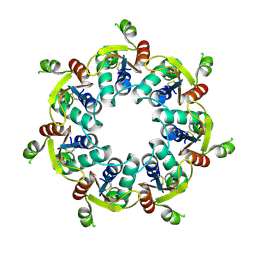 BU of 9ezc by Molmil