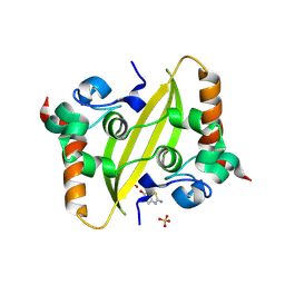 BU of 9f2i by Molmil