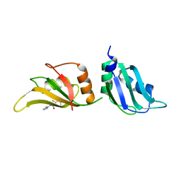 AU of 9f4f by Molmil