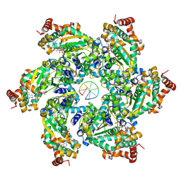 BU of 9fa2 by Molmil
