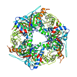 BU of 9fbc by Molmil